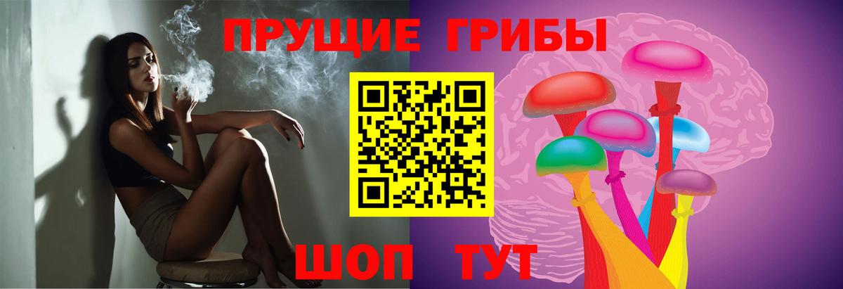 Лыткарино  Псилоцибиновые грибы Cubensis  Вход с VPN 